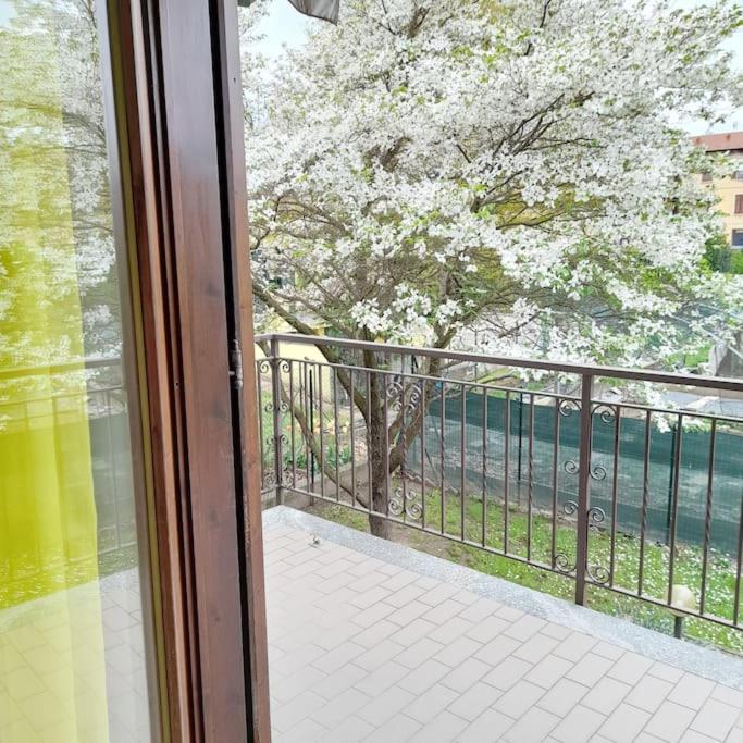 Villa Il Vecchio Kiwi - House With Private Garden Oleggio Castello Esterno foto
