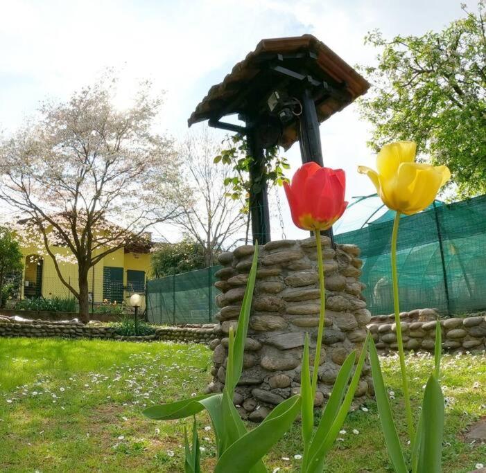 Villa Il Vecchio Kiwi - House With Private Garden Oleggio Castello Esterno foto